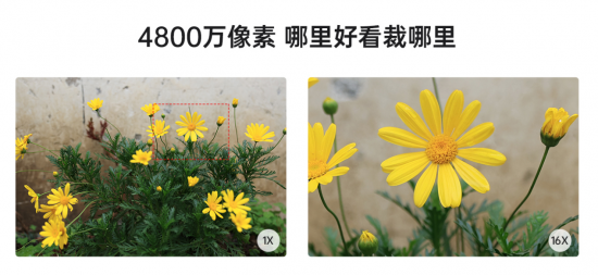云图片